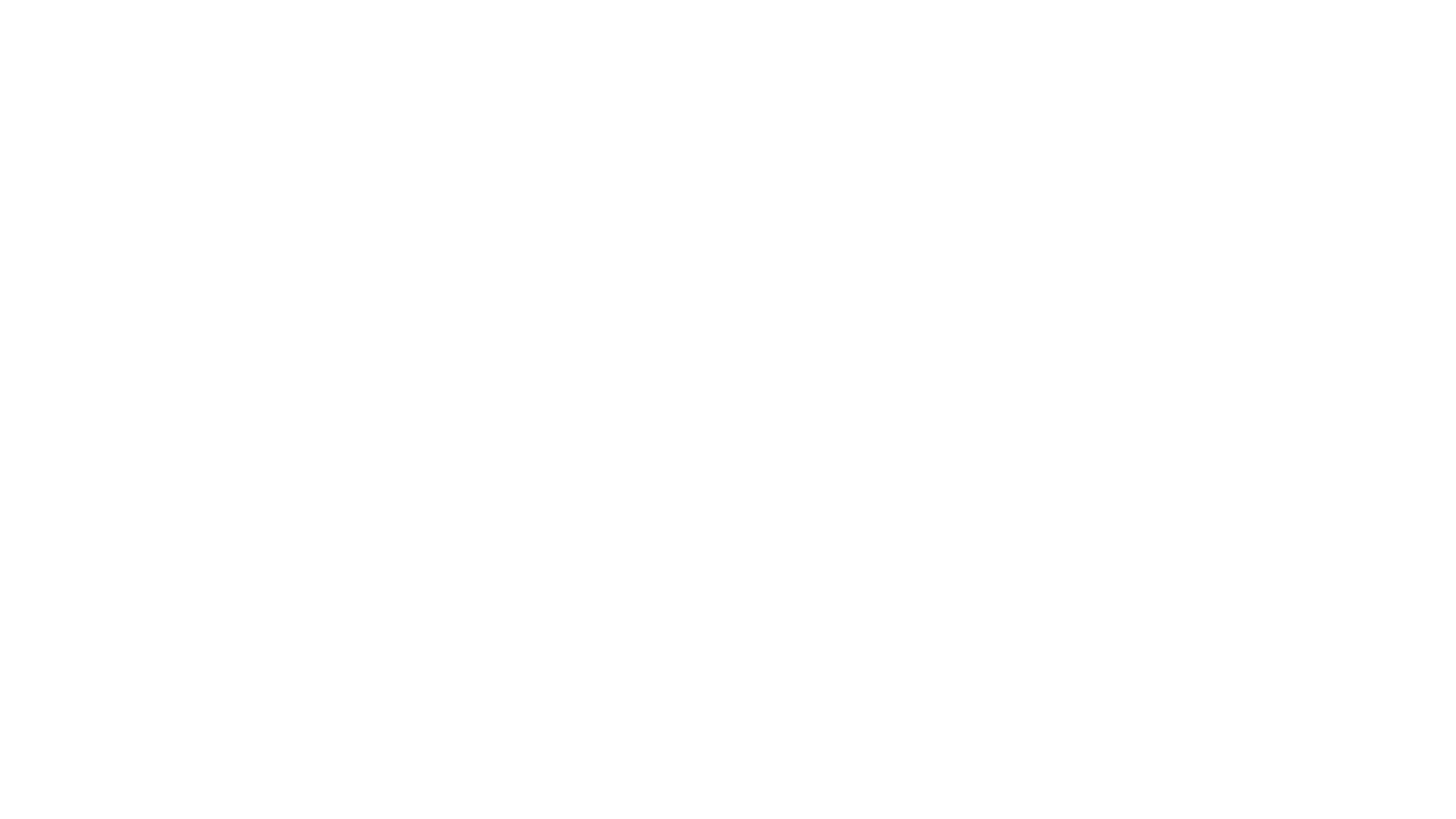 A CV