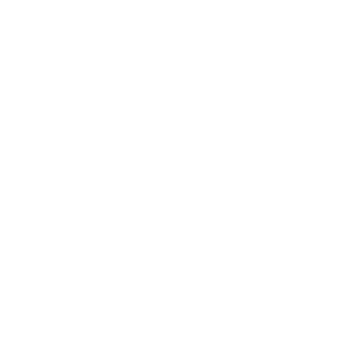 Search Icon