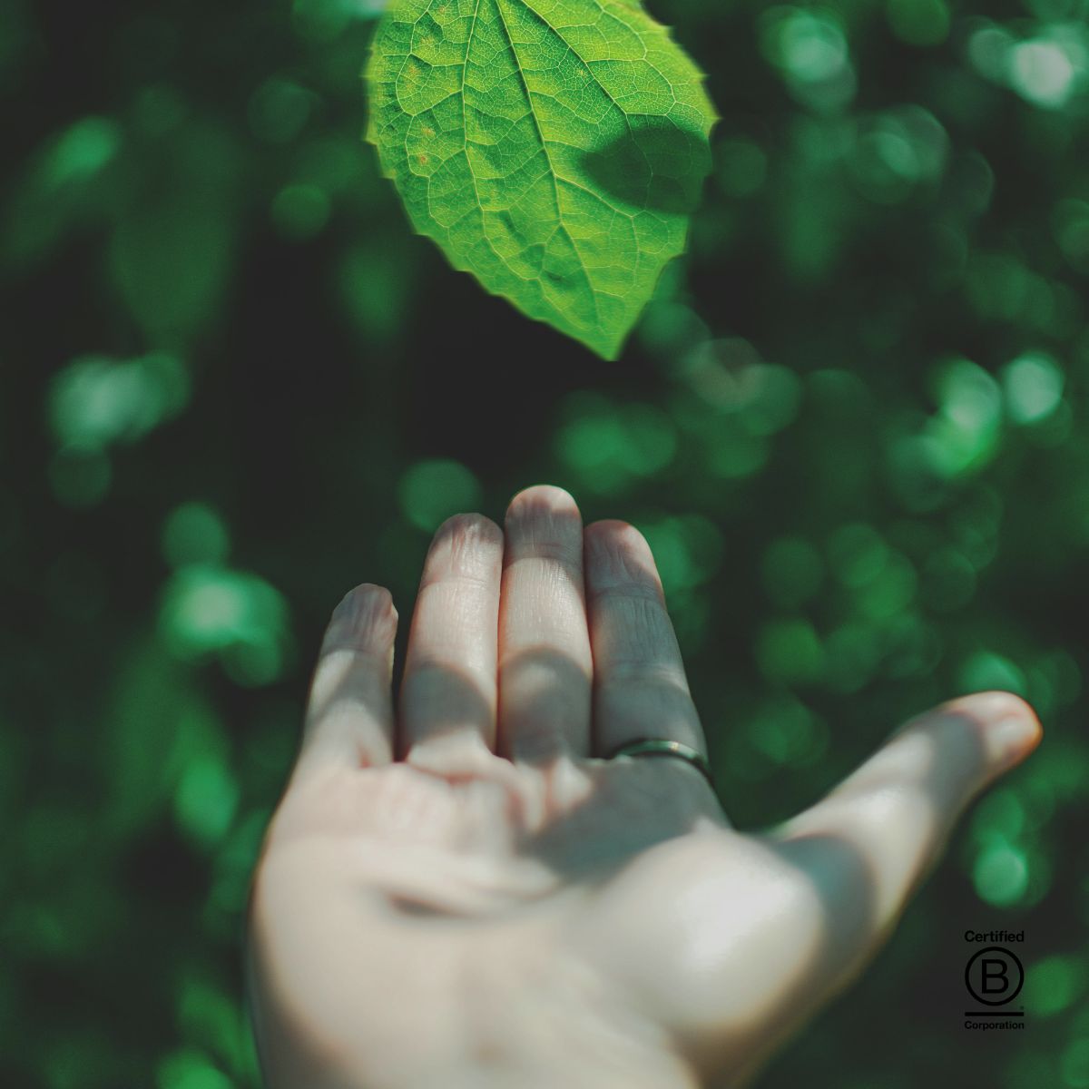 B Corp Impact Report 2024